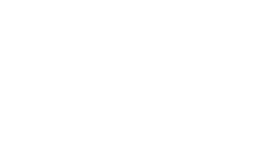 origineel