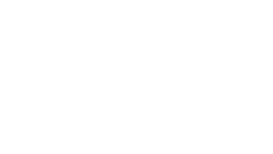 origineel