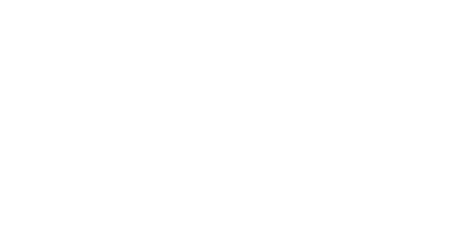 origineel