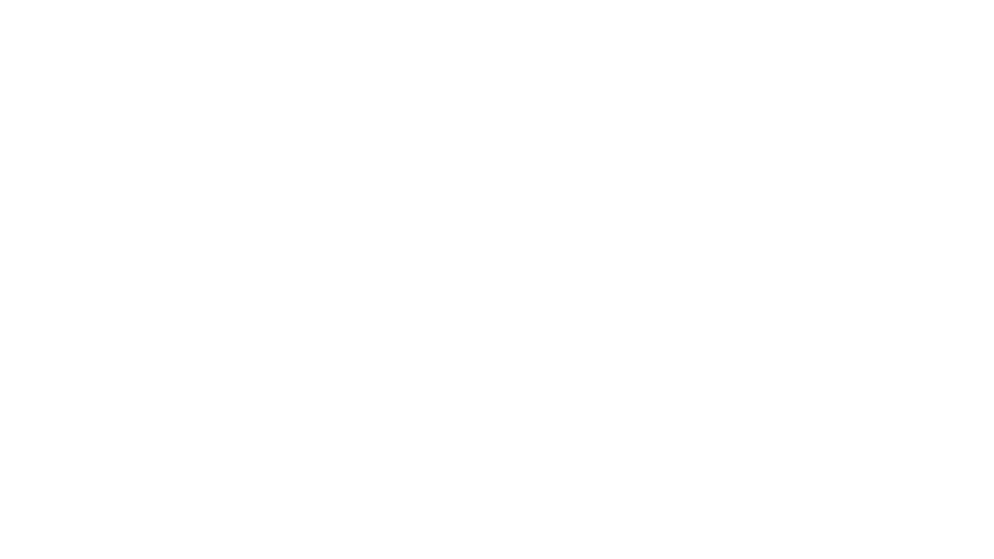 origineel